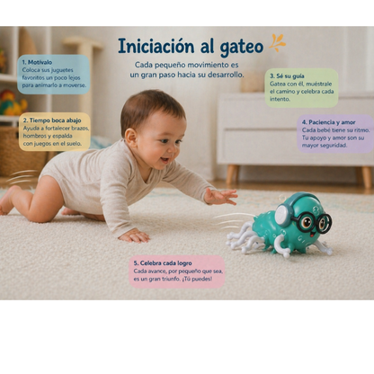 pulpo magico interactivo